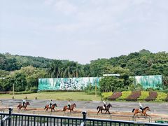 -深圳野生动物园