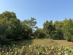 -太子山公园(园东路)
