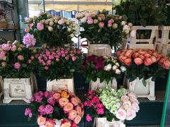 -文艺复兴百货(米兰大教堂广场店)