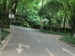 -上海科学技术职业学院