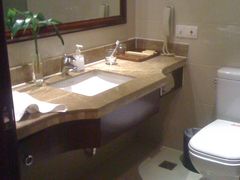 -益阳华天大酒店