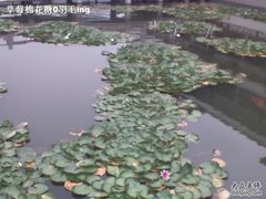 -天目湖山水园