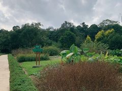 -广西壮族自治区药用植物园