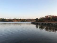 -南京枫彩漫城
