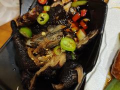 -小俩口烧烤东北菜(双井店)