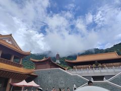 -深圳仙湖植物园
