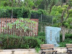 -银湖山郊野公园-相思林