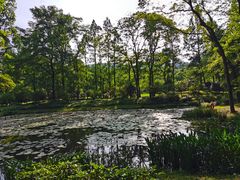 -杭州植物园