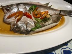 葱椒鲈鱼-绿茶餐厅(布吉万象汇店)