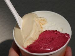 -Dip in Gelato(富民路店)