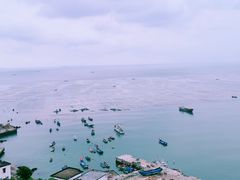 -枸杞岛