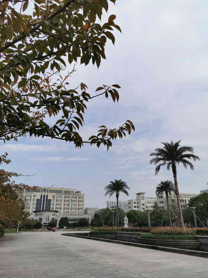 浙江传媒学院(下沙校区)-""北有北广,南有浙广""北有中传,南有浙.