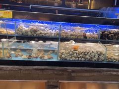 -苏格里岛自助海鲜烤肉火锅(集美万达店)
