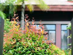 -广州都喜泰丽温泉度假酒店