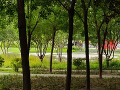 -大望京公园