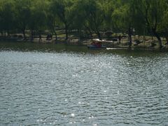 -大宁公园