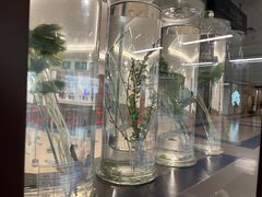 -北京中医药大学东直门医院(通州院区)