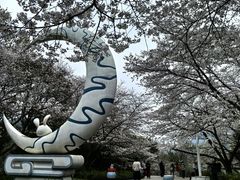 -杭州少年儿童公园