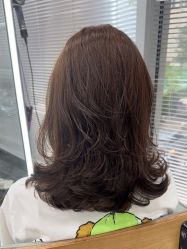 -藤野造型