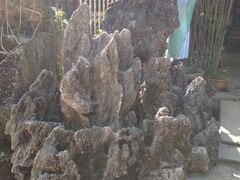 -桂林市花鸟市场