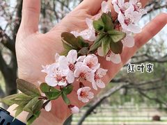 -元大都城垣遗址公园