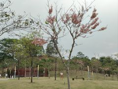 -白石龙音乐公园