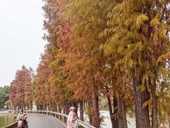-烟桥古村