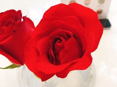 -PETIT PARIS 小巴黎(花园道店)