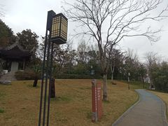 -汇龙潭