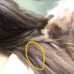-Gina-私人订制