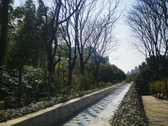 -苏州河梦清园环保主题公园