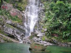 鼎湖山-鼎湖山风景区