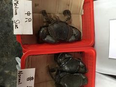 -龙海鲜螃蟹王(宏茂桥店)