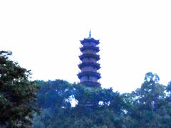 -南沙蒲洲花园