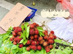-红星光发煲仔饭(文海店)