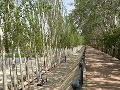 -党河风情线国家水利风景区