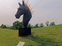 -白鹭湾湿地公园