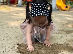 -合肥滨湖国家森林公园