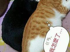 -沪上阿姨·精选茶饮(烟台万达广场店)