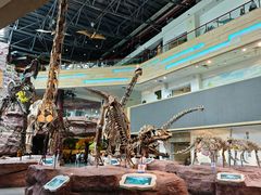 -安徽省地质博物馆