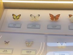 -浦乐汇·汤泉水世界