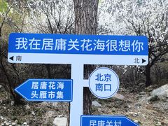 -居庸关长城