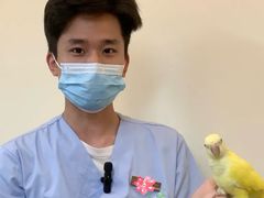 -立德异宠动物医院.兔鸟爬.内窥镜(天河店)