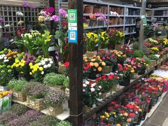 -秦美花卉(天朗·莱茵小城2期店)