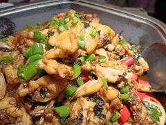 紫苏味牛蛙平锅-蛙来哒(龙华壹方天地店)