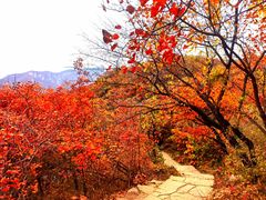 -周口店坡峰岭风景区