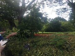 -白沙门生态公园