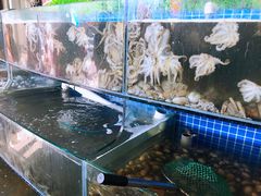-蟹谢蒸鲜自助餐厅