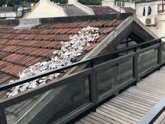 -普朗姆生蚝吧(原建国路店)