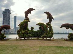 景点-白鹭洲公园